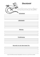 Salamander-Steckbriefvorlage-sw-2.pdf